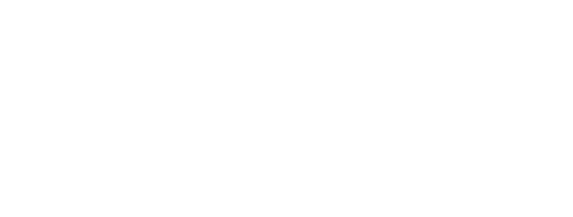 Bruns Capital Strategies